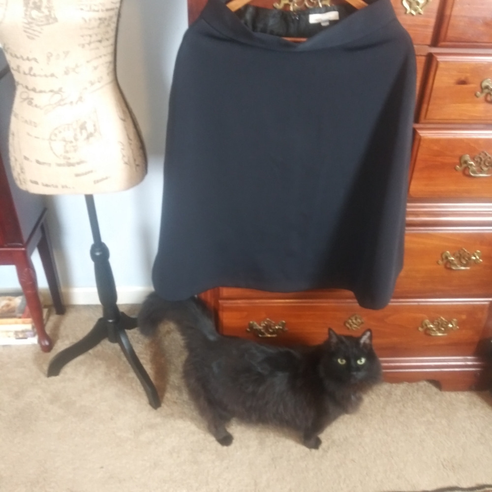 Banana Republic Black Satin Circle Skirt
